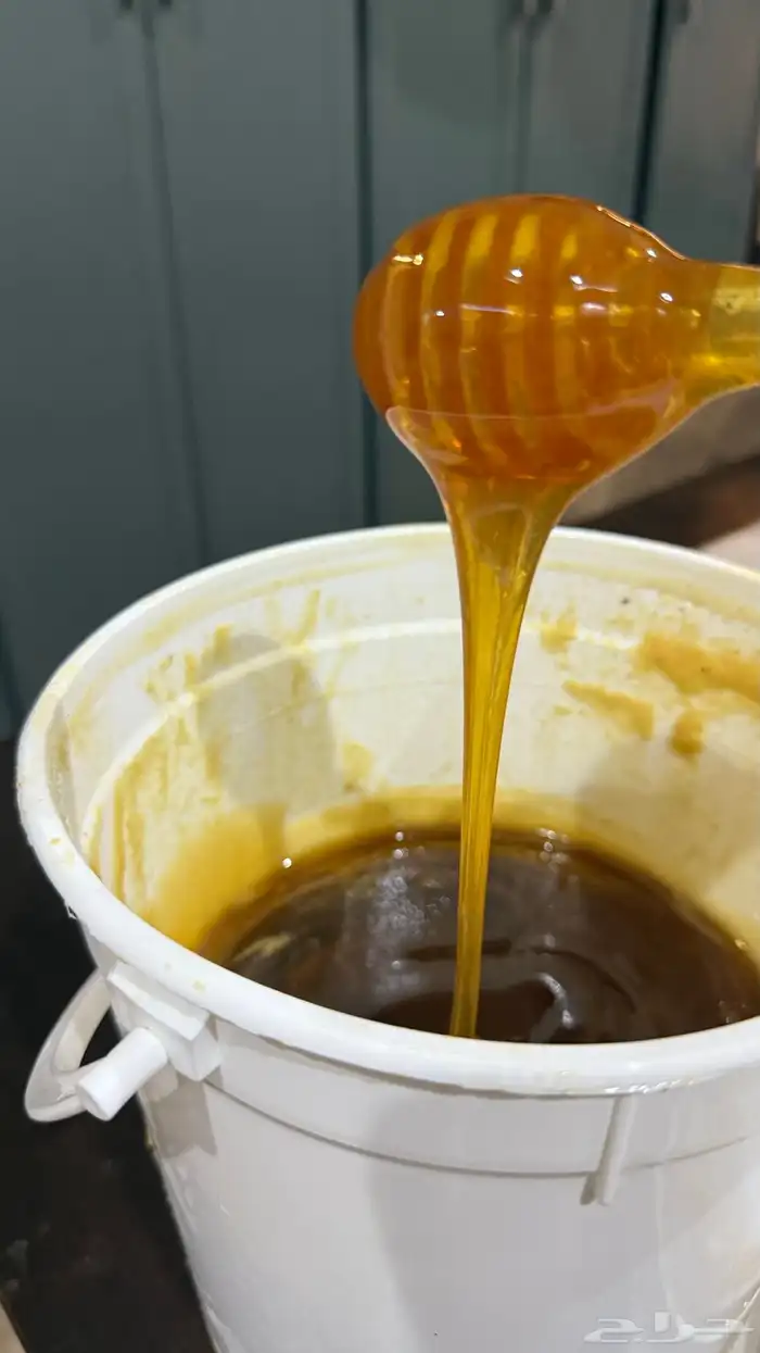 عسل سدر الباحه 2