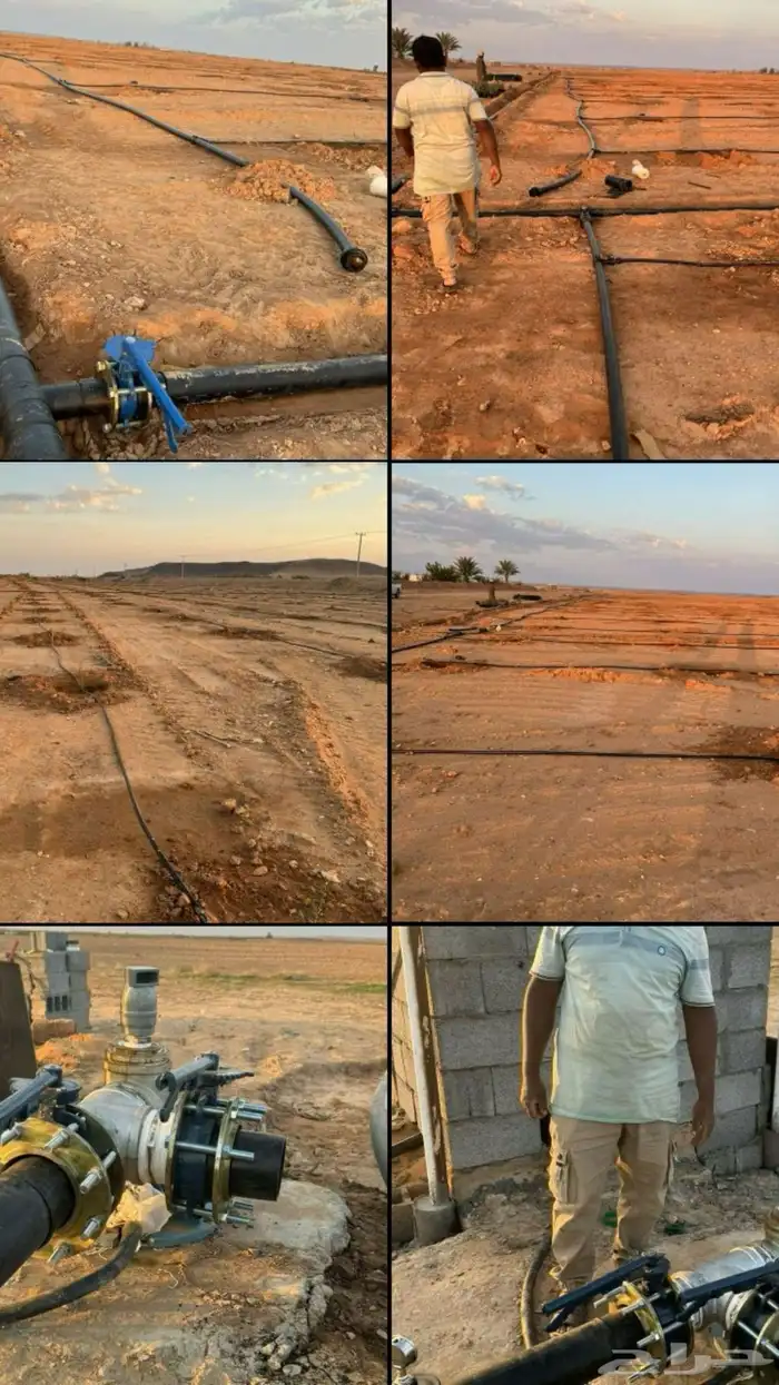 موسسة العارف الزراعية 13