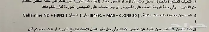 صوص لاحم روس 308 فرز اول عمر اسبوع شركه اخذ جميع التحصينات م 2