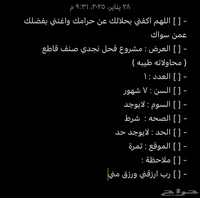 خروف صنف العمر 7 شهور غير مشروط محاولاته طيبه 2