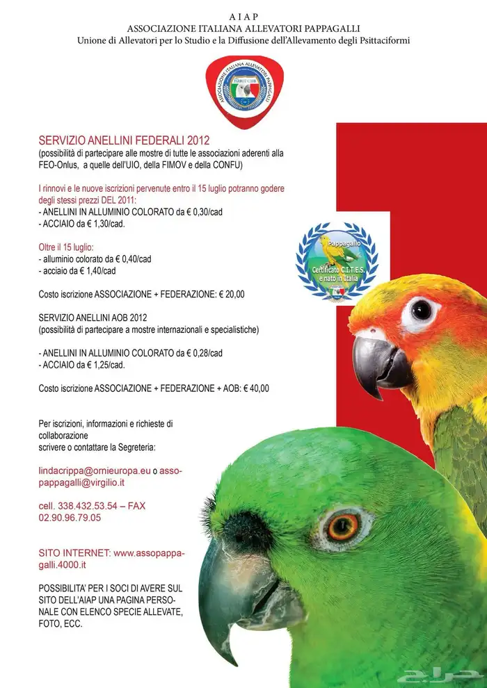 معلومات عن الطيور الاوربية AIAP 0