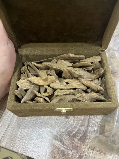 عود طبيعي جايبورا 0