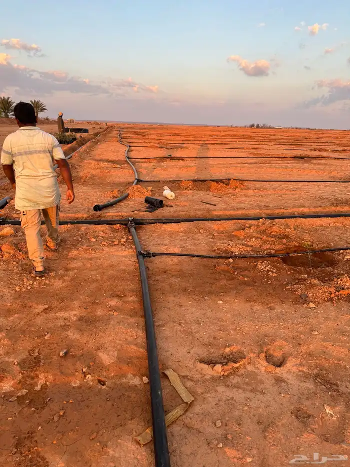 موسسة العارف الزراعية 15