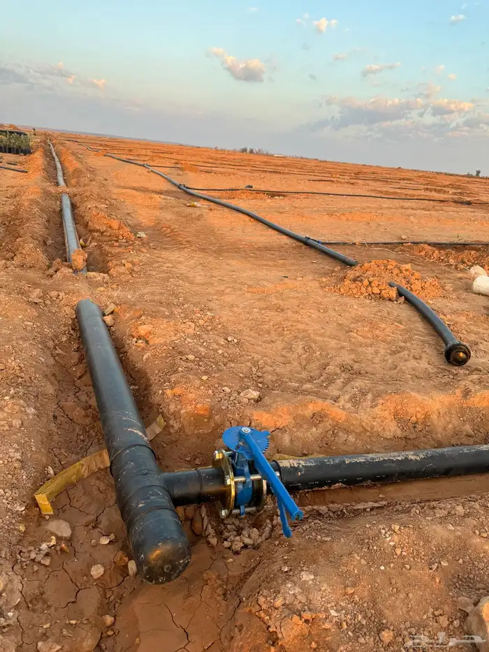 موسسة العارف الزراعية 14