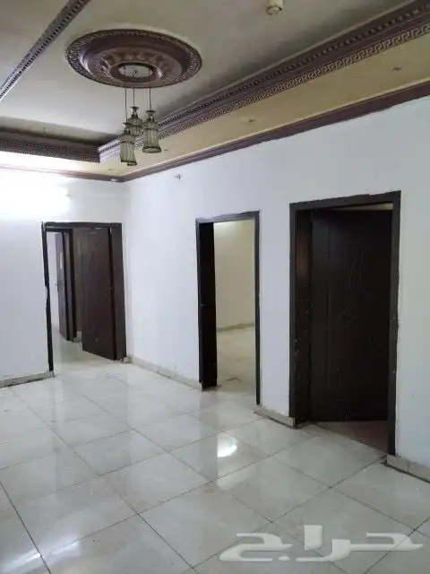 الرزق على الله بدون خروج حج الشوقيه 3