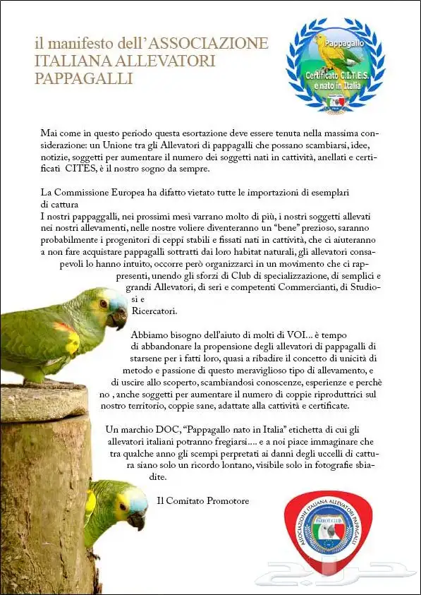 معلومات عن الطيور الاوربية AIAP 2