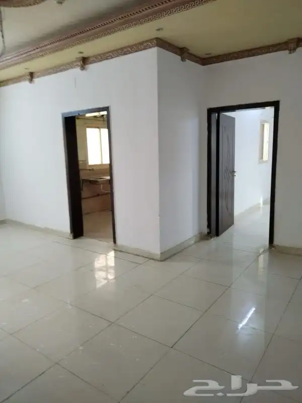 الرزق على الله بدون خروج حج الشوقيه 8