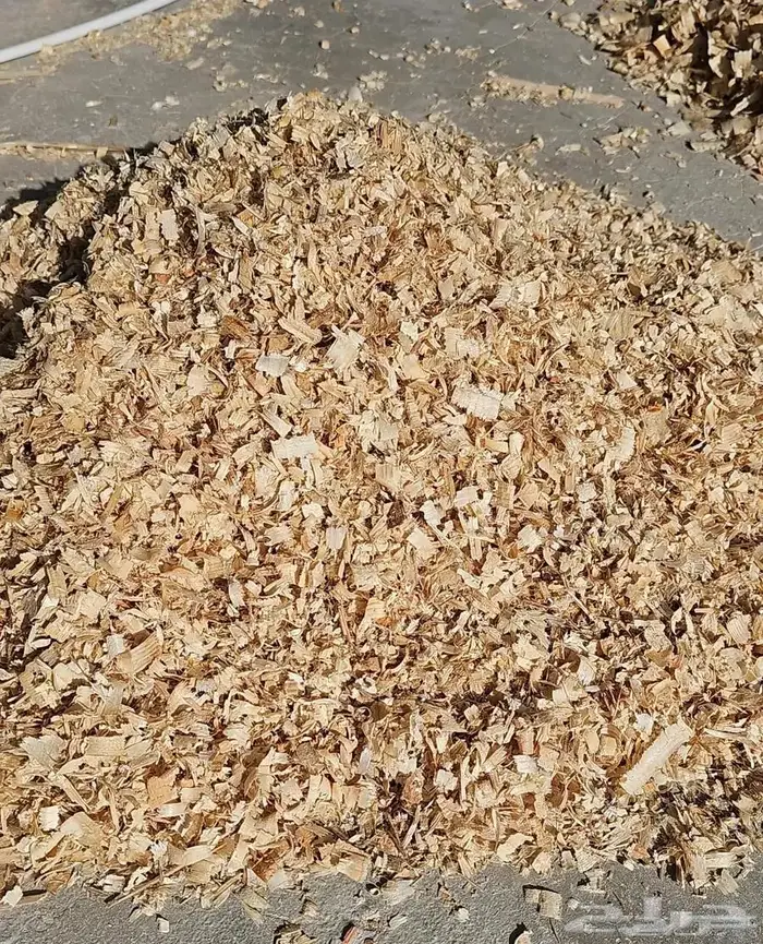 نشارة خيل خيول ودواجن 8