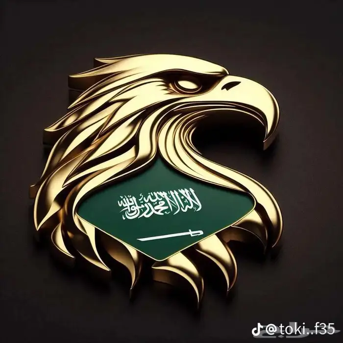 جهاز كشف الماء الإرتوازية والجوفية كمرات تصوير الآبار 0