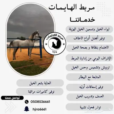 مربط احمد الحميد 0