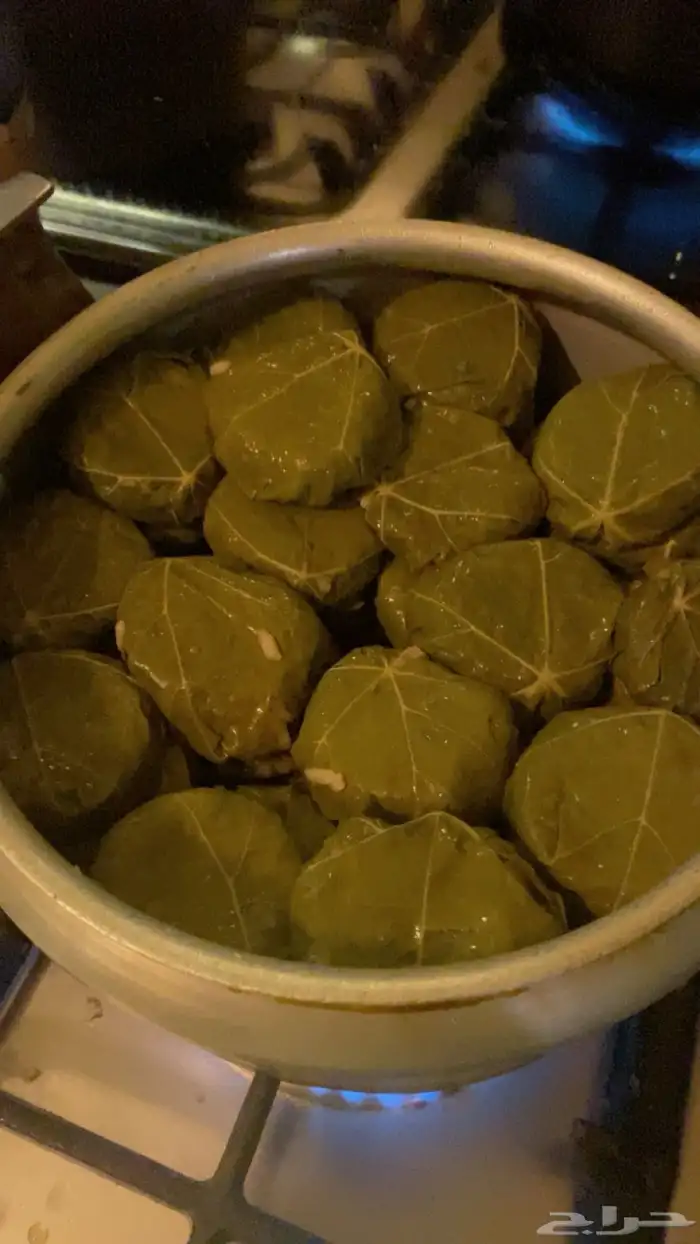 كبيبه حائل 0