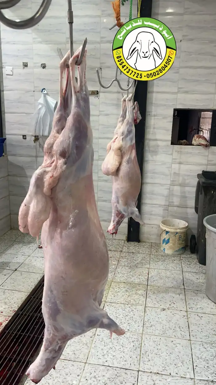 أبو ذيب للذبائح ( يتوفر ذبح وتوصيل ) 7