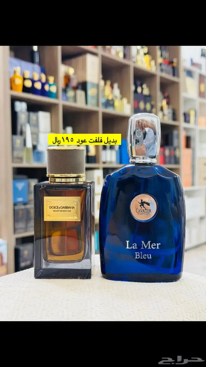عطور المكافح السعودي 76