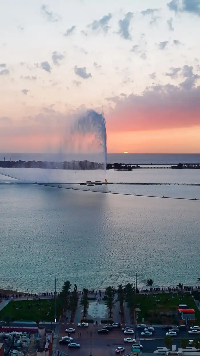 مصور درون بتصريح تجاري 0