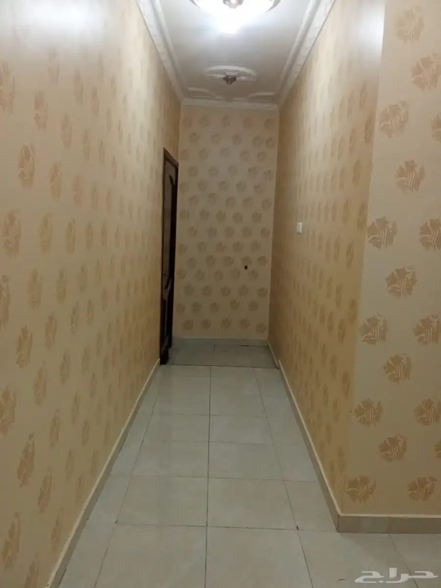 شقق عزاب للايجار 5