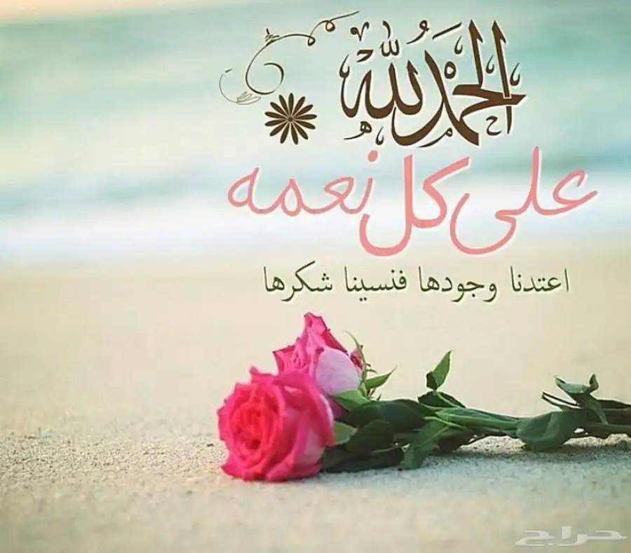 مندوب توصيل وتحميل اثاث وأغراض 0