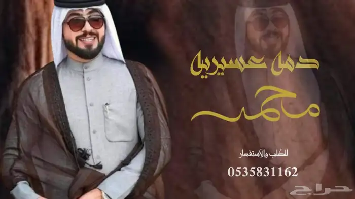 منشد شيلات شاعر جزل 0