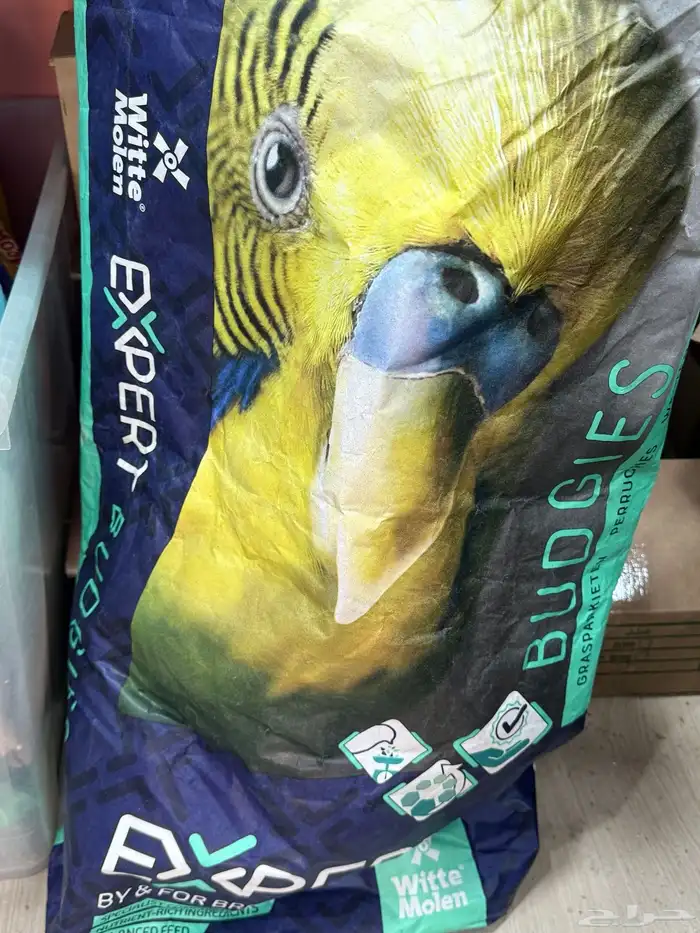 متجر حيوانات 7