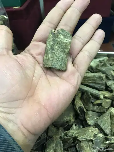 الي يطلب عن طريق المتجر له كود خصم 2