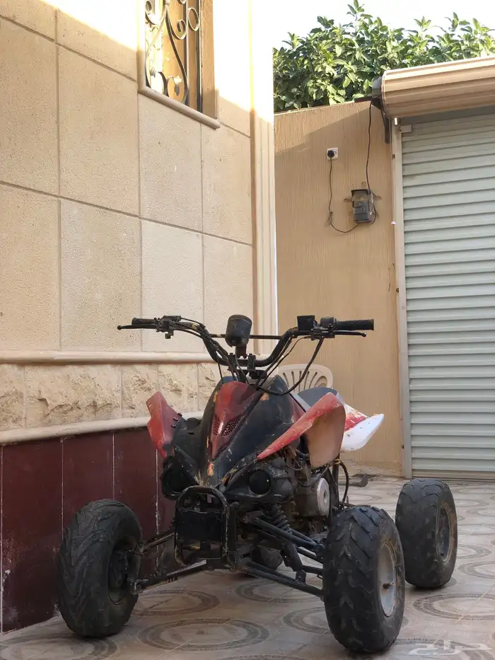 دباب الفراشة 0