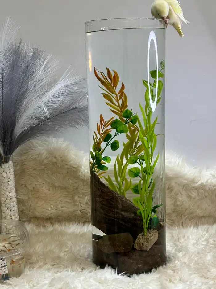 هديه بيت جديد ( حوض سمك كبير ) 15 لتر ماء 1