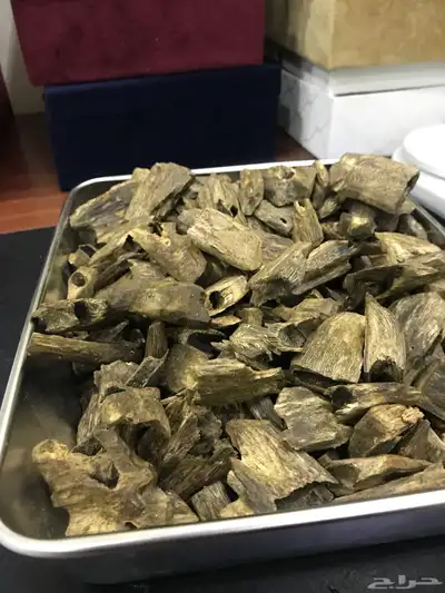 الي يطلب عن طريق المتجر له كود خصم 0