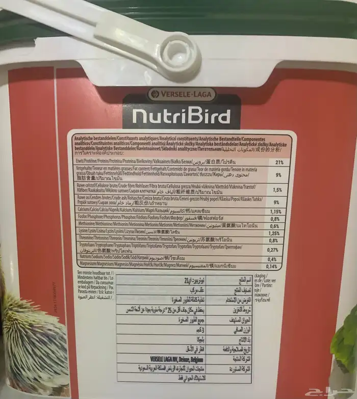 سيريلاك طيور 2