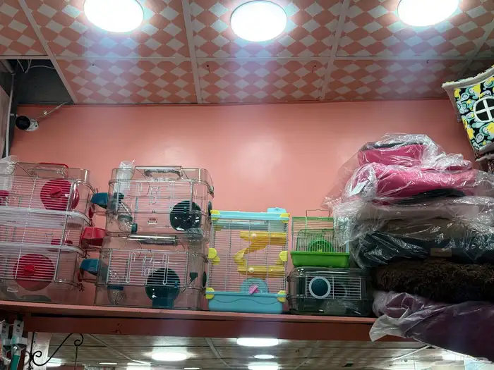 متجر حيوانات 13