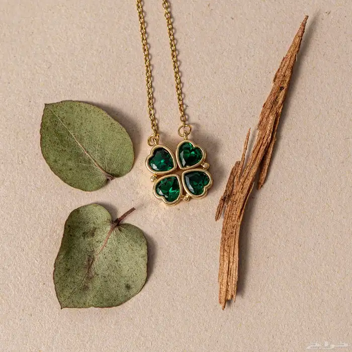 سعودية مصورة محترفة 12