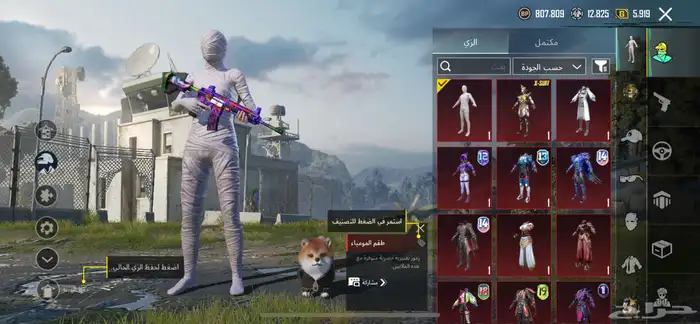 حساب ببجي فرعون كل مسج وأسلحة كل مسج 1