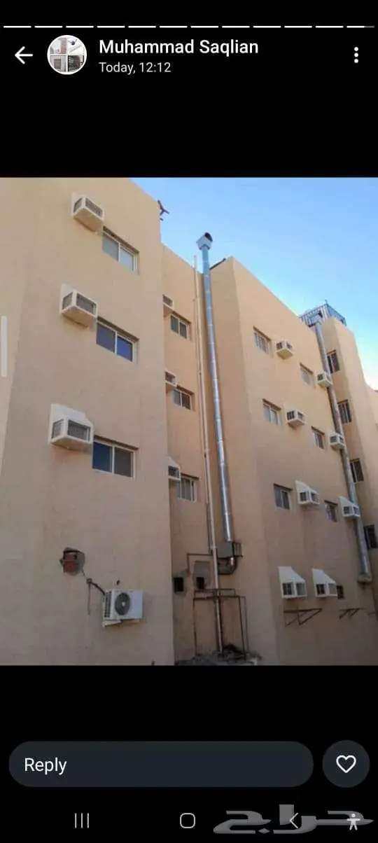 طارد الطيور مدينة المنورة 5