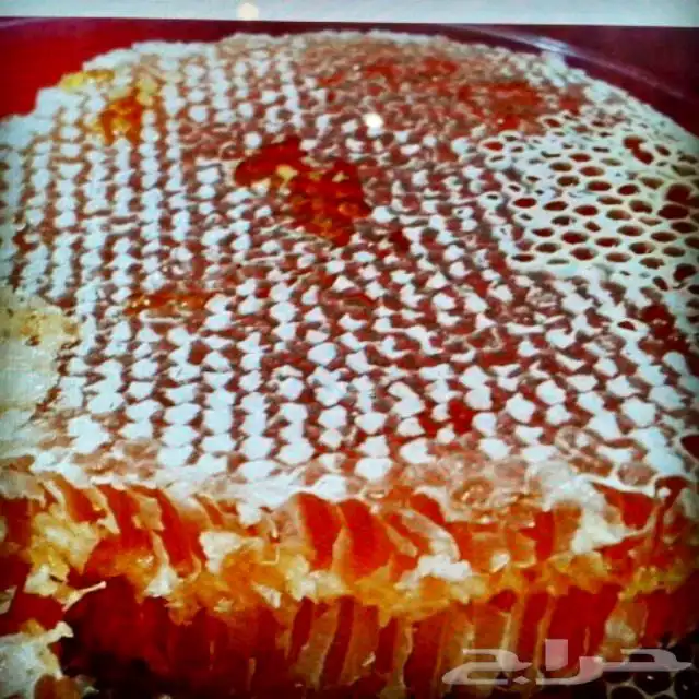 عسل سدره وسمره وعسل بغذاء الملكه اصلي ومضمون 10