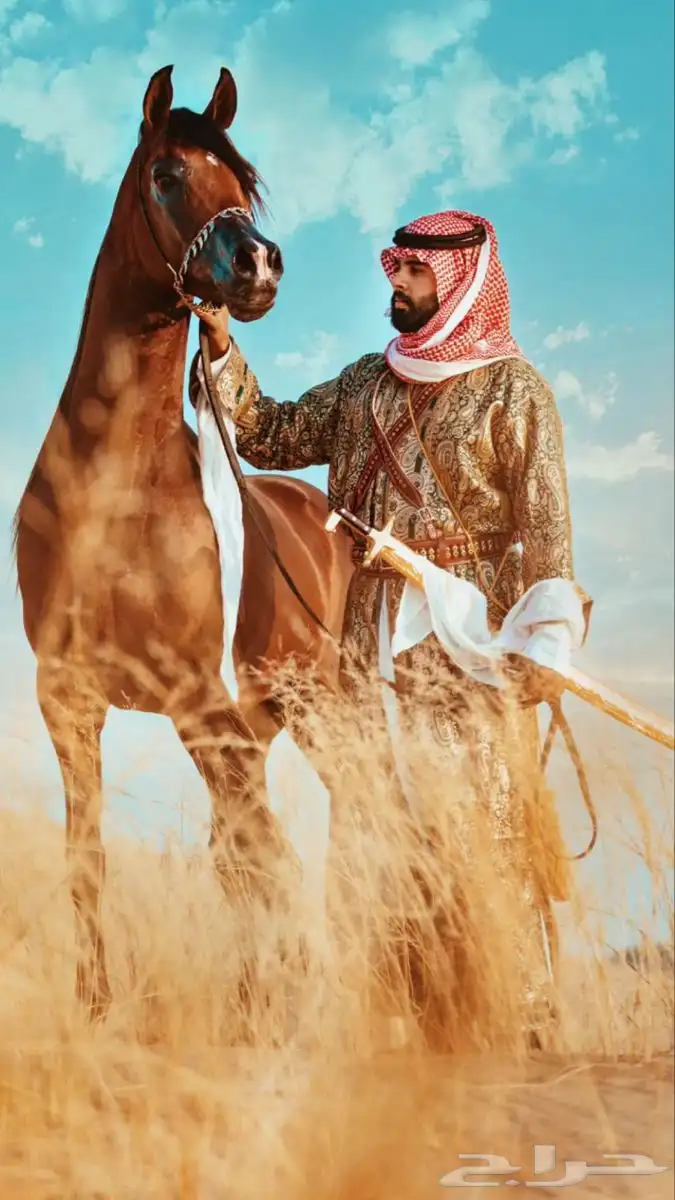 مصور زواجات ومناسبات (فيديو وصور ومونتاج) 2