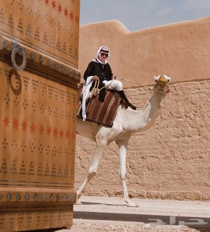 مصور زواجات ومناسبات (فيديو وصور ومونتاج) 1