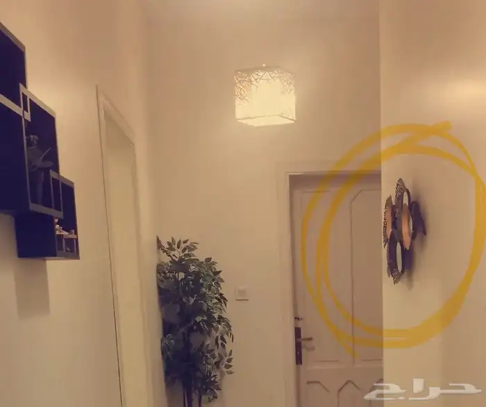 لوحة ديكور على شكل غزالة مجسمة وديكور مرايا للبيع 0