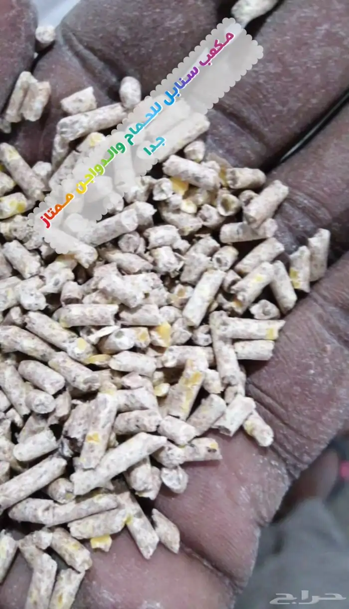 اعلاف دجاج وحمام و روز وبغبغاء 10