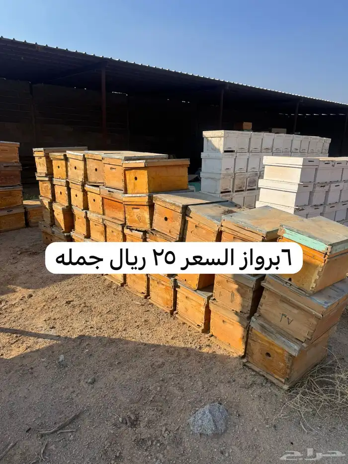 خلايا نحل فاضيه افرنجي واعواد للبيع 7