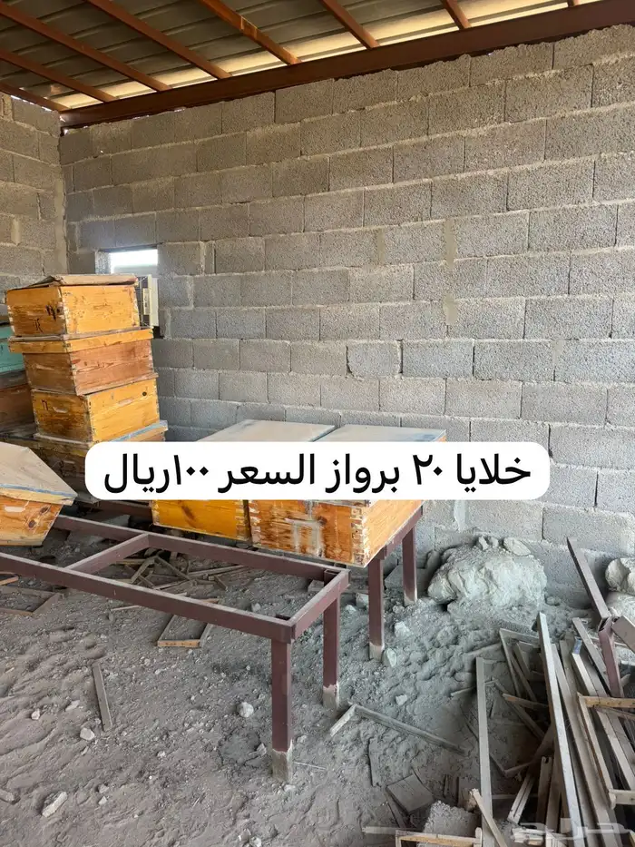خلايا نحل فاضيه افرنجي واعواد للبيع 6