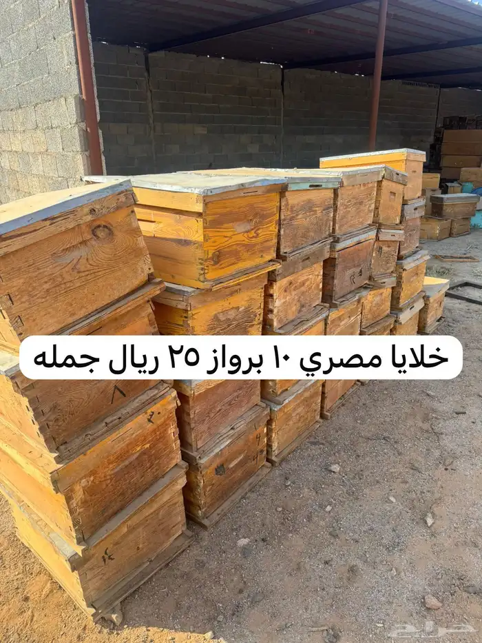 خلايا نحل فاضيه افرنجي واعواد للبيع 0