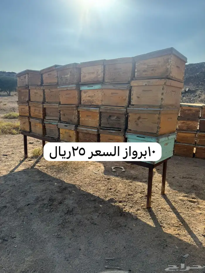 خلايا نحل فاضيه افرنجي واعواد للبيع 3