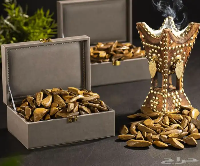 مروكي الضيافة محسن 2