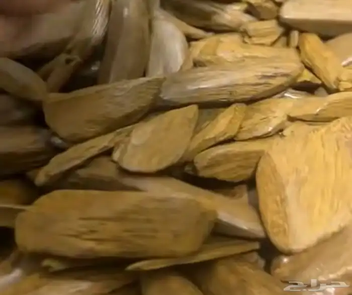 مروكي الضيافة محسن 1