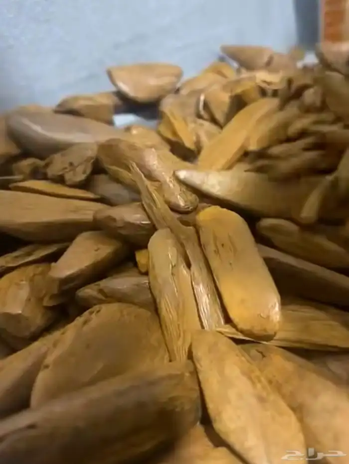 مروكي الضيافة محسن 0