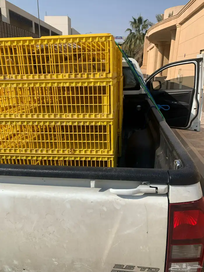 توصيل طيور 0