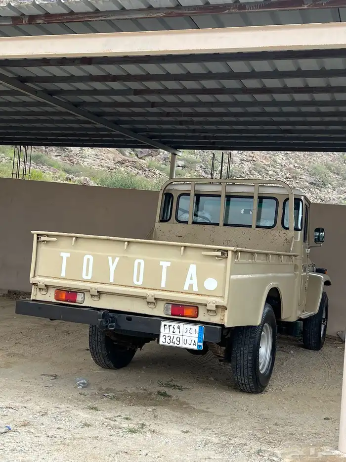 شاص 81 3