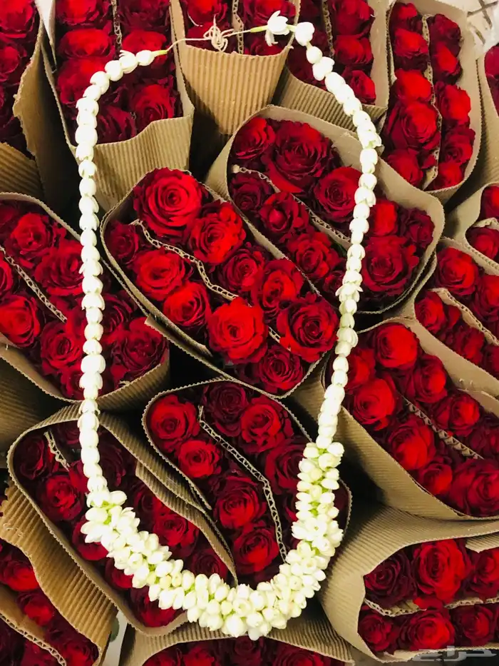 ورود طبيعيه إقتصاديه 0