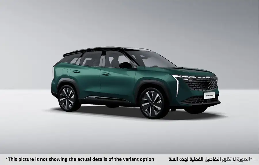جيلى ستاررى بجميع فئات 2024 4