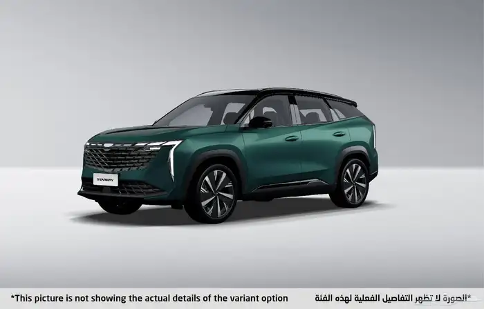 جيلى ستاررى بجميع فئات 2024 5