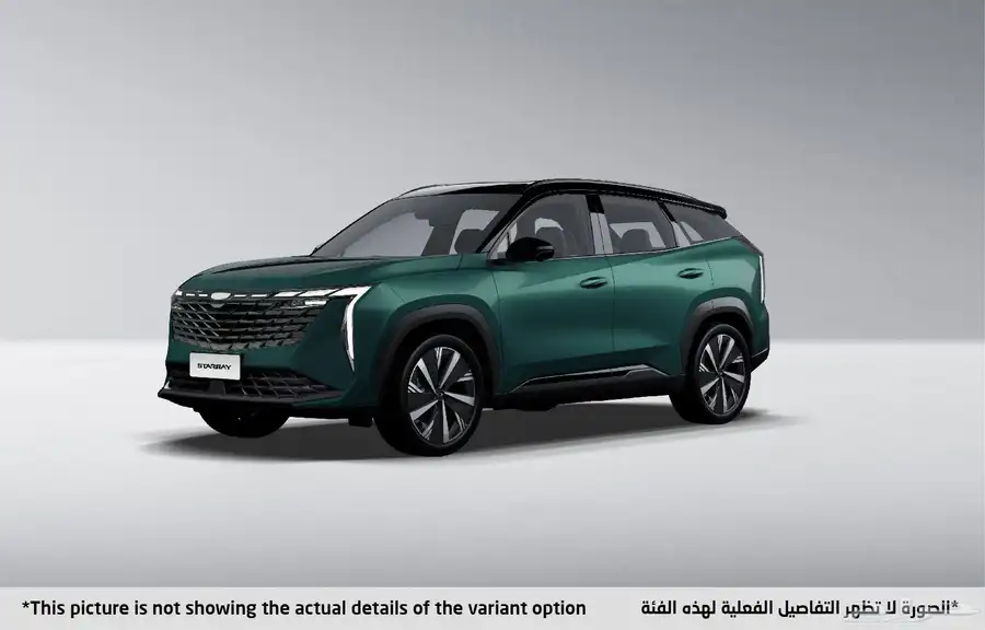 جيلى ستاررى بجميع فئات 2024 5