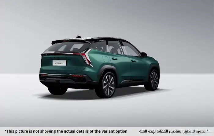 جيلى ستاررى بجميع فئات 2024 2